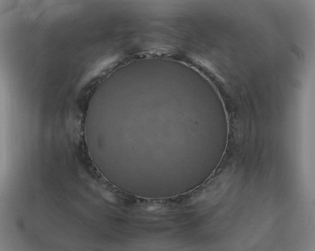 X0000113781399200910071214