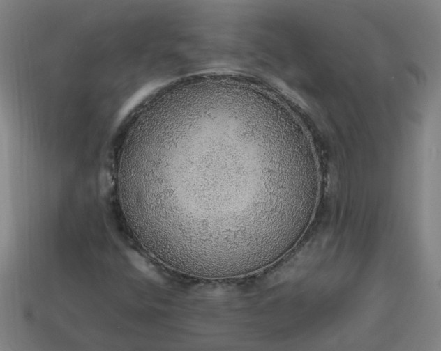 X0000113781400200910071214