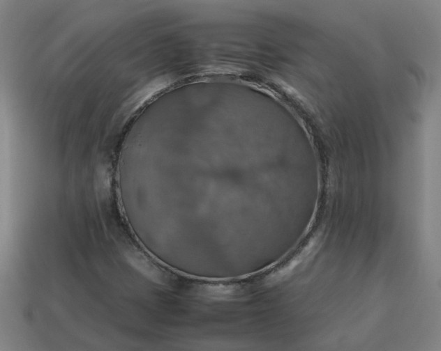 X0000113781401200910071214