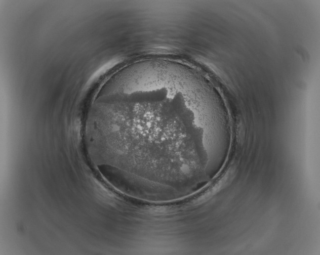 X0000113781402200910071214