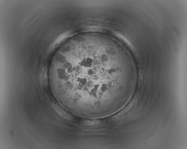 X0000113781403200910071214