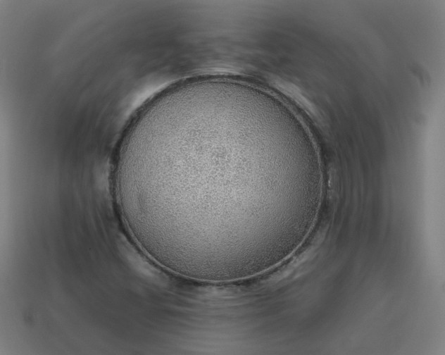 X0000113781404200910071214