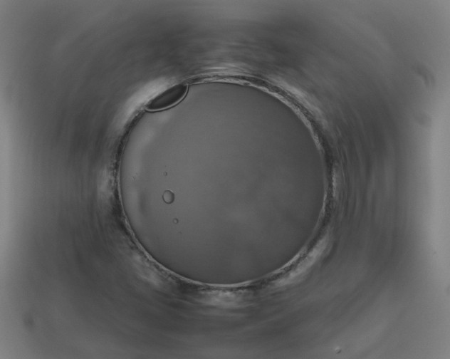 X0000113781405200910071214