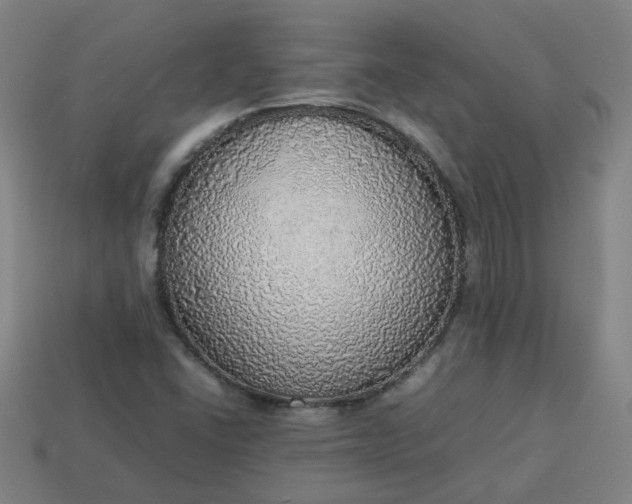 X0000113781406200910071214