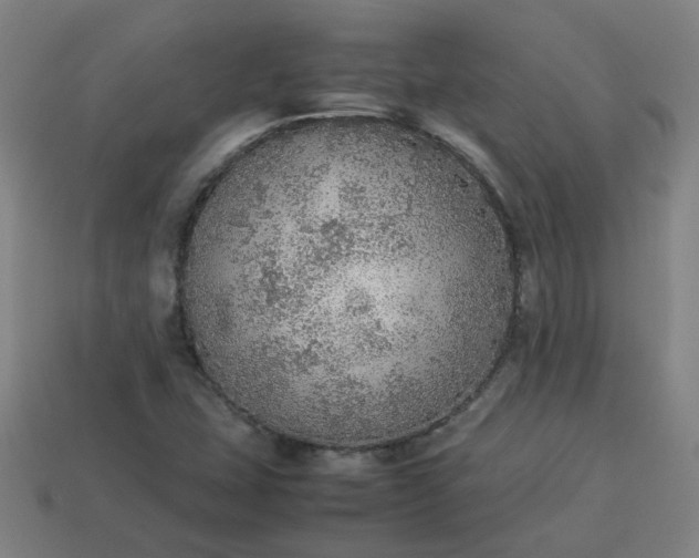 X0000113781407200910071214