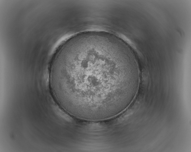 X0000113781408200910071214