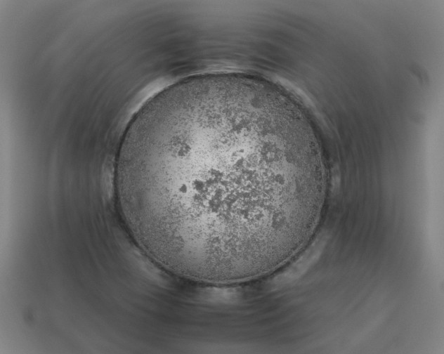 X0000113781409200910071214