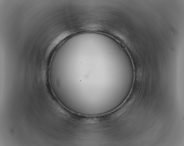 X0000113781410200910071214