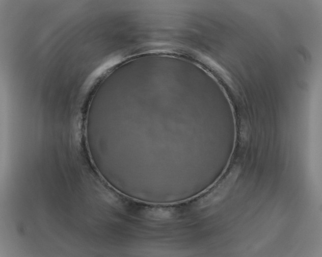 X0000113781411200910071214