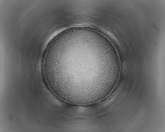 X0000113781412200910071214