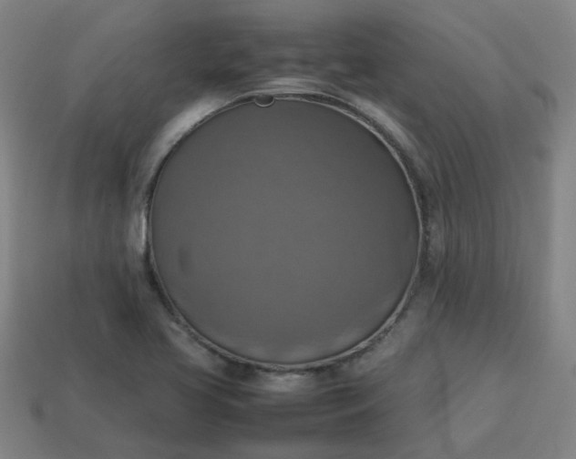 X0000113781413200910071214