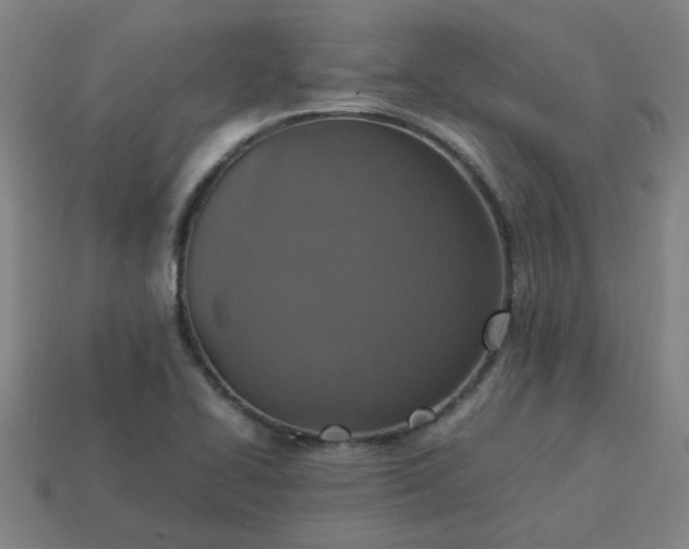 X0000113781414200910071214