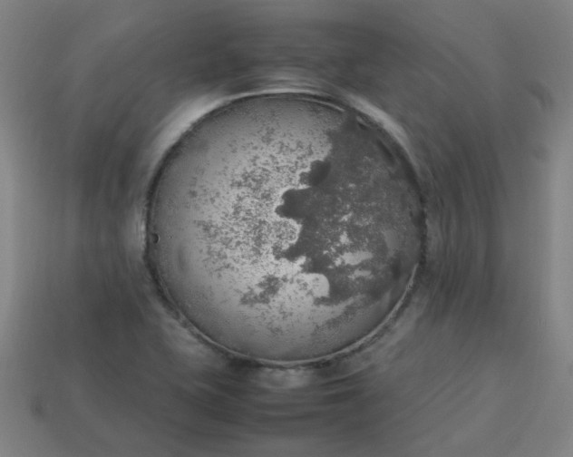 X0000113781415200910071214