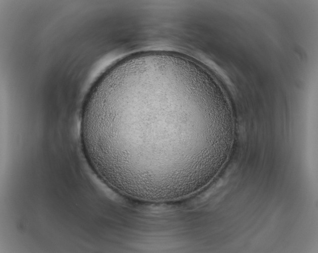 X0000113781416200910071214