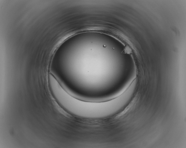 X0000113781417200910071214