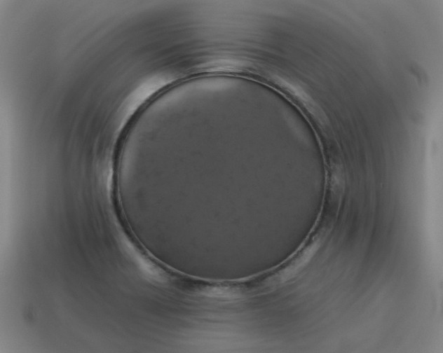 X0000113781418200910071214