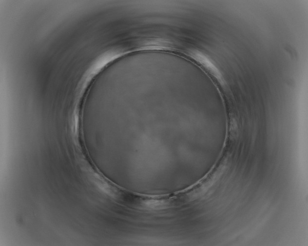 X0000113781419200910071214