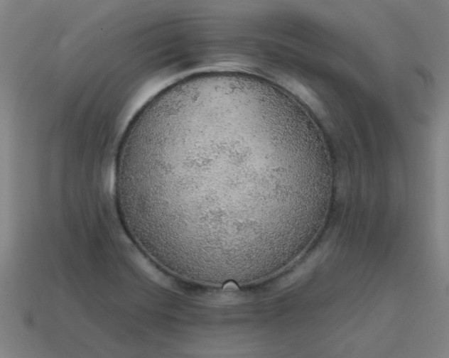 X0000113781420200910071214