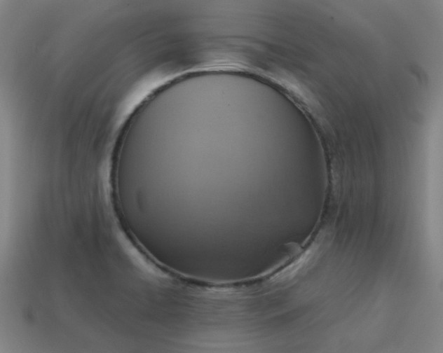 X0000113781422200910071215