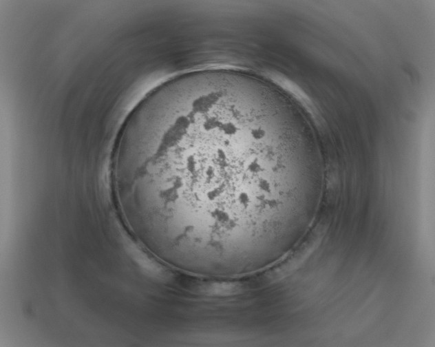 X0000113781423200910071215