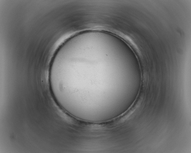 X0000113781424200910071215