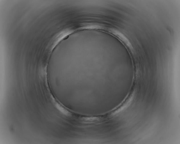 X0000113781425200910071215