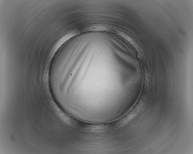 X0000113781426200910071215