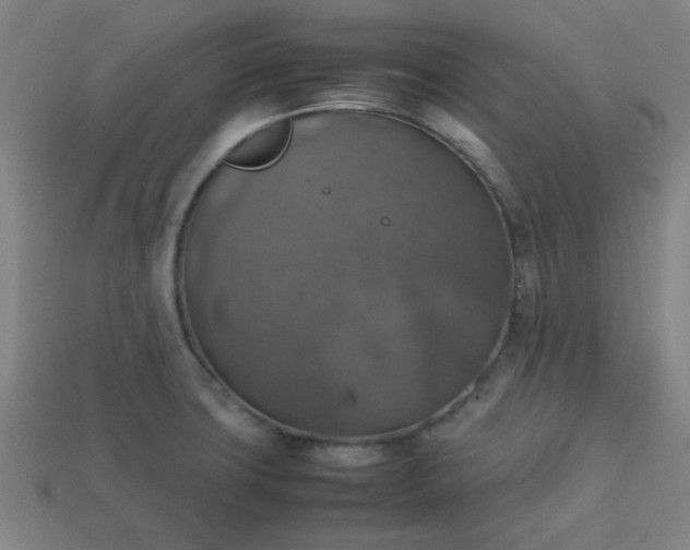 X0000113781427200910071215