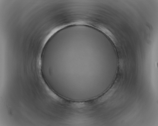 X0000113781428200910071215