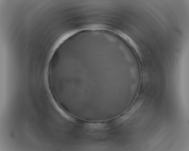 X0000113781429200910071215