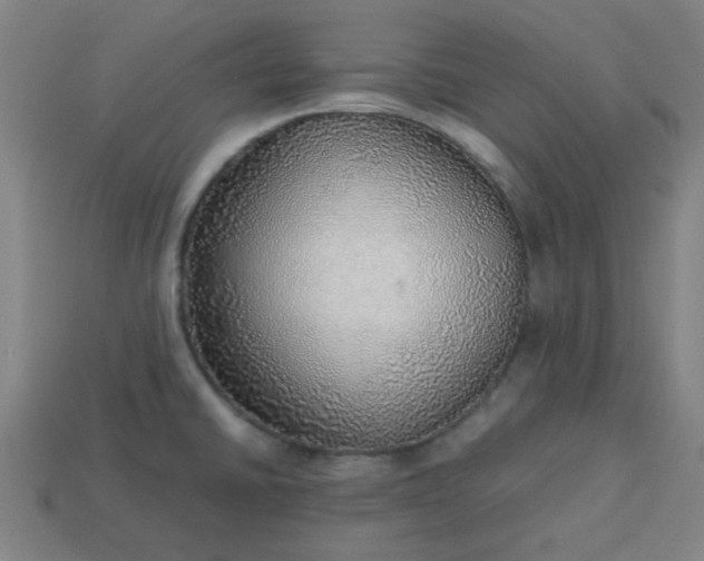 X0000113781430200910071215