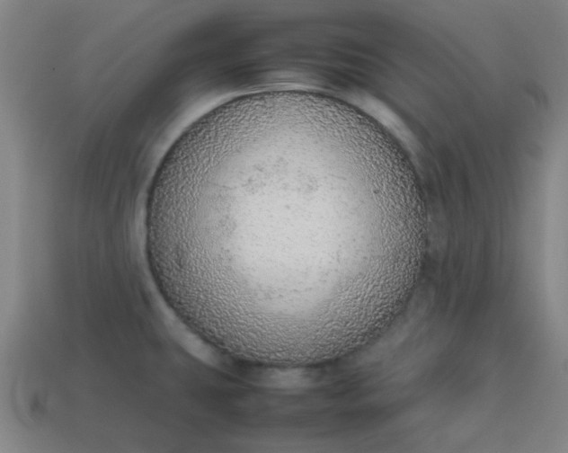 X0000113781431200910071215