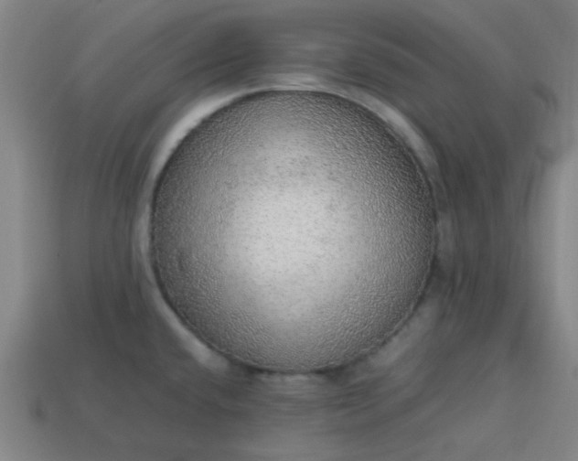 X0000113781432200910071215