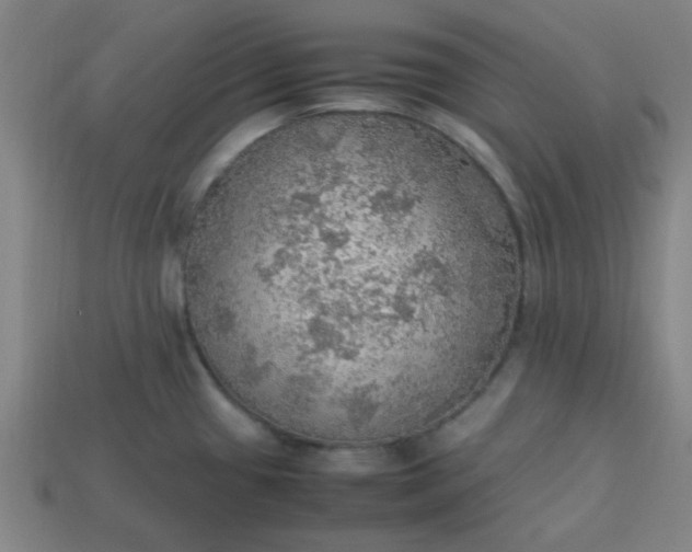 X0000113781433200910071215