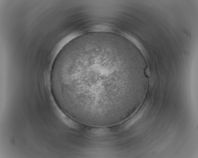 X0000113781434200910071215