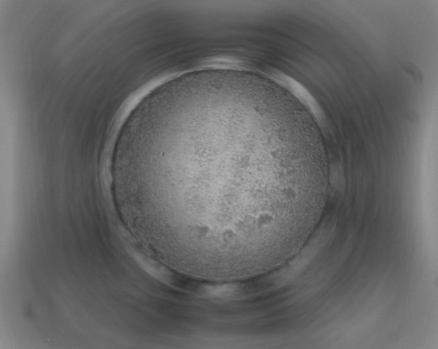 X0000113781435200910071215