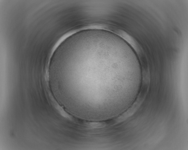 X0000113781436200910071215