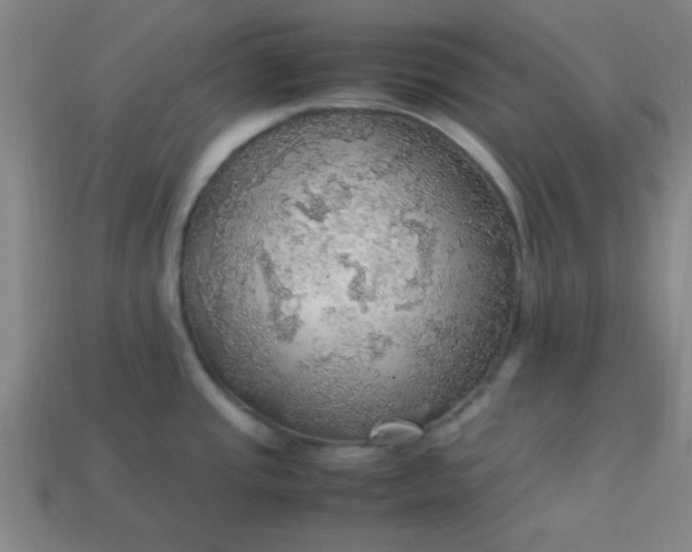 X0000113781437200910071215