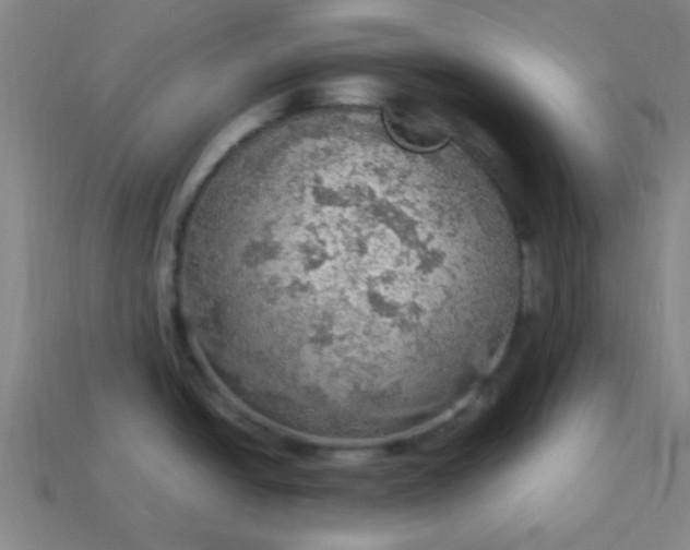 X0000113781438200910071215