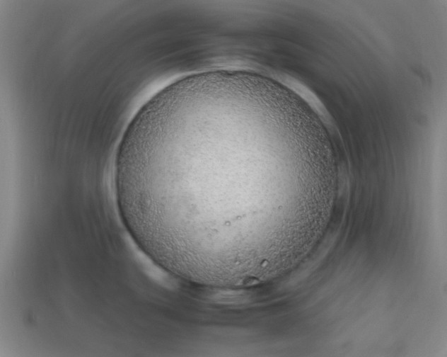 X0000113781439200910071215