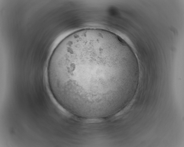 X0000113781440200910071215