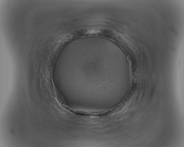 X0000113781441200910071214