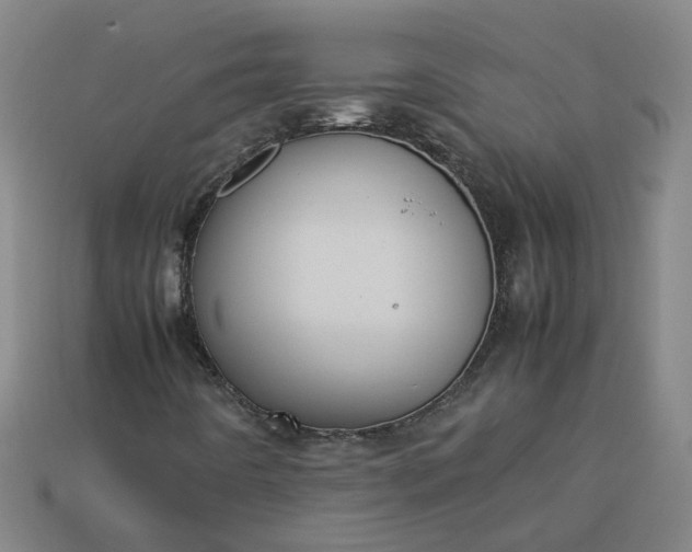 X0000113781442200910071214