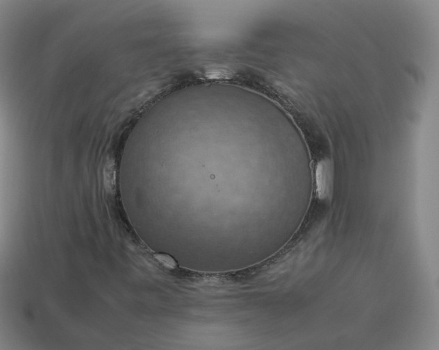 X0000113781443200910071214