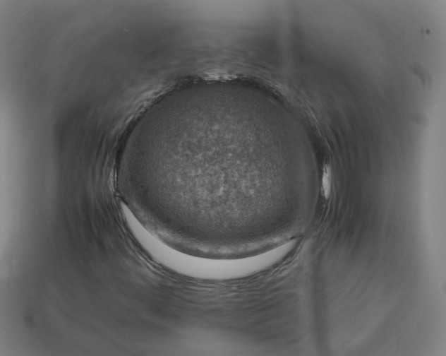 X0000113781444200910071214