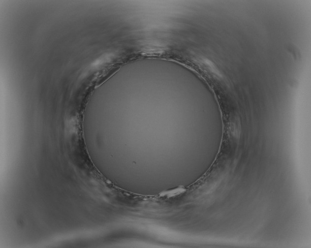 X0000113781445200910071214