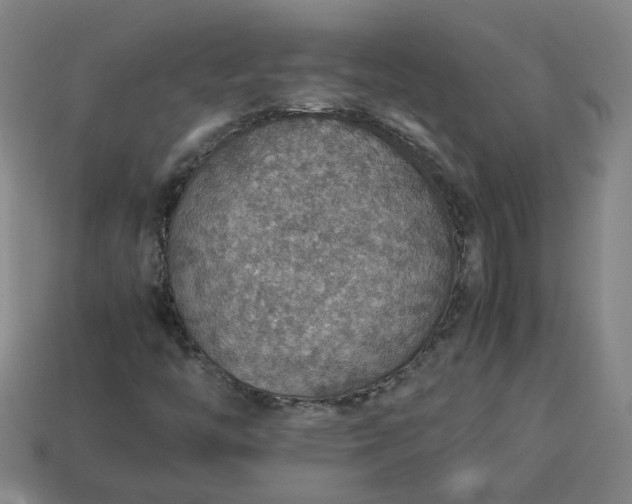 X0000113781446200910071214