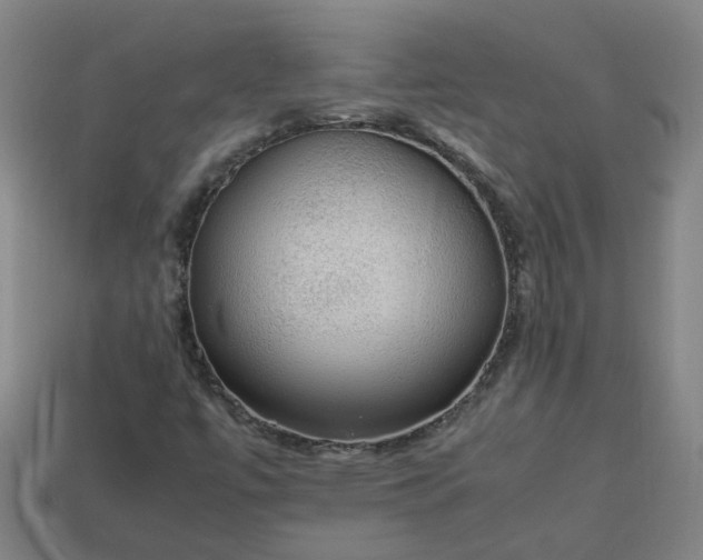 X0000113781447200910071214