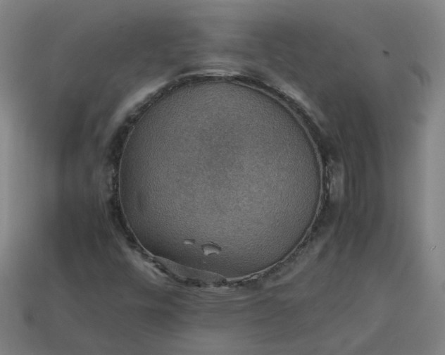 X0000113781448200910071214