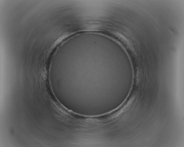 X0000113781449200910071214